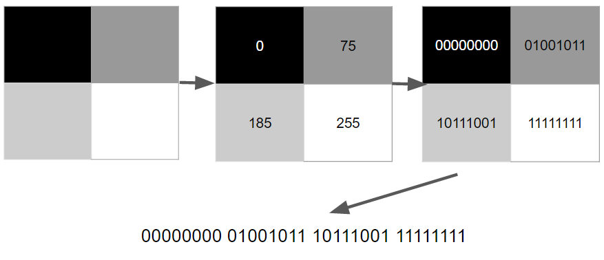 grayscale-image-example-fixed