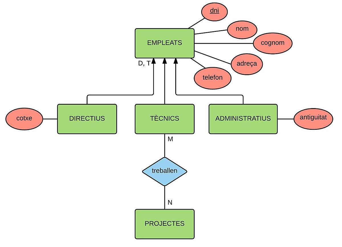 1200px-Hierachy_example_in_ER_diagram - IB Computer Science